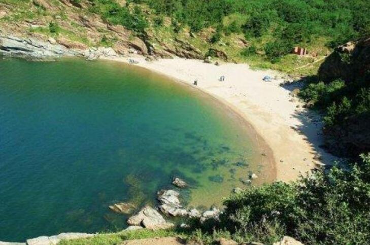 写日记三年级300字