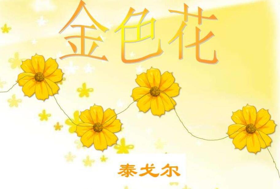 金色花仿写300字作文