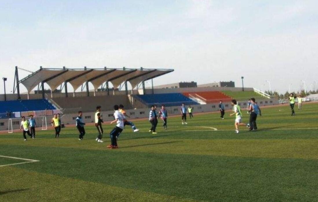 多彩的活动作文500字六年级