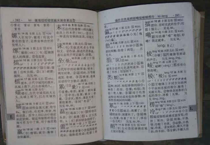 什么的自述作文300字四年级