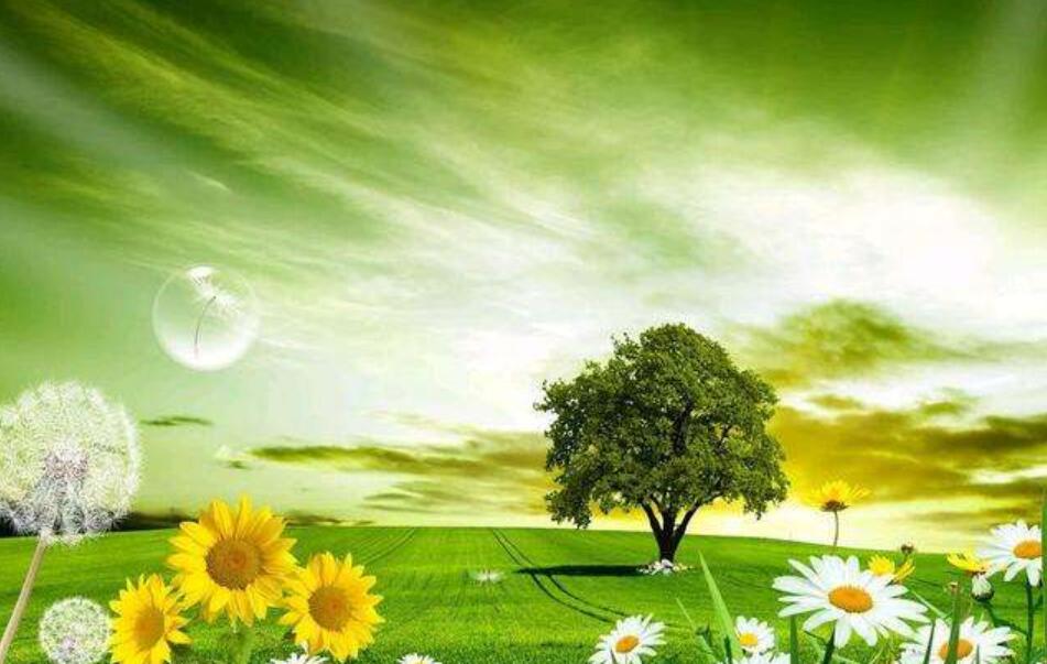 寻找春天的足迹.jpg 寻找春天的足迹.jpg