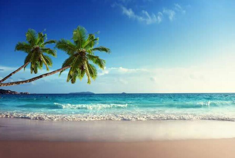 美丽作文600字初二