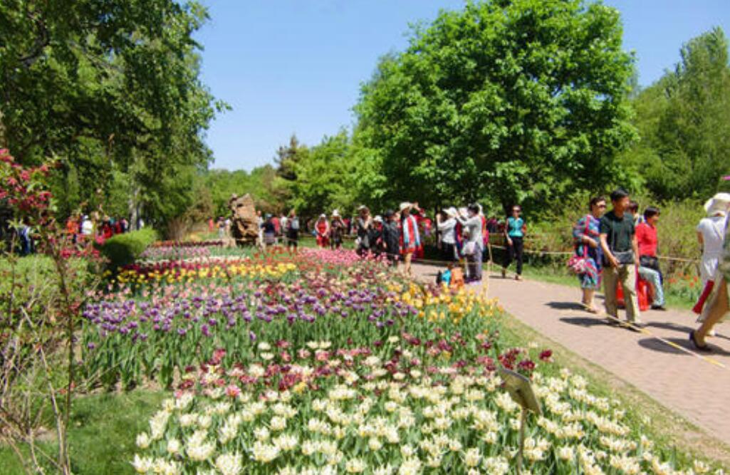 植物园游记作文600字初二