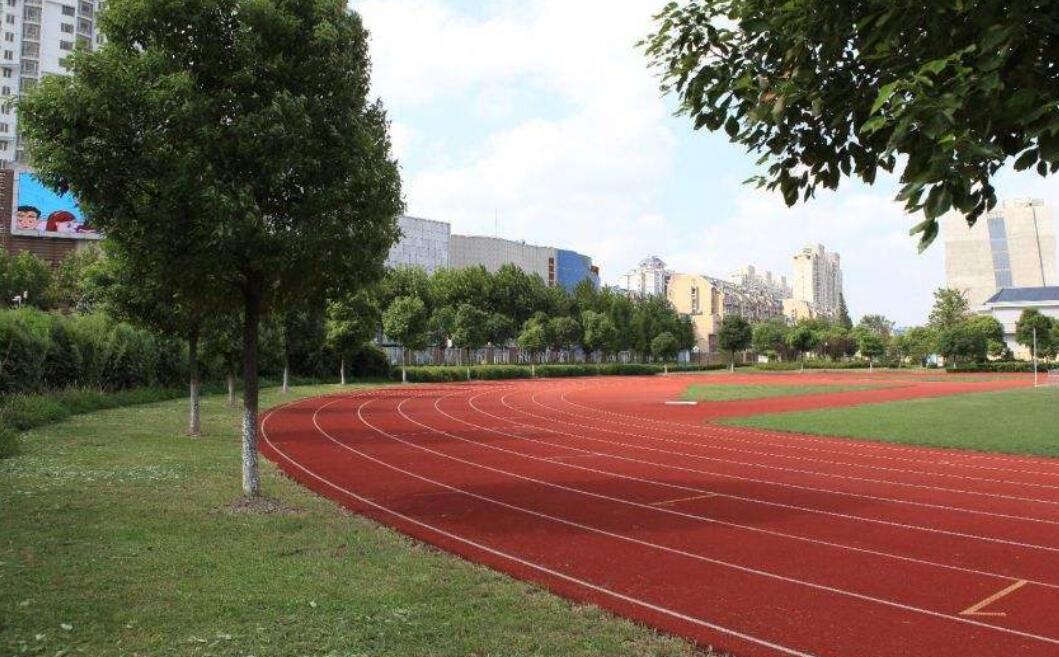 美丽的校园作文500字初一