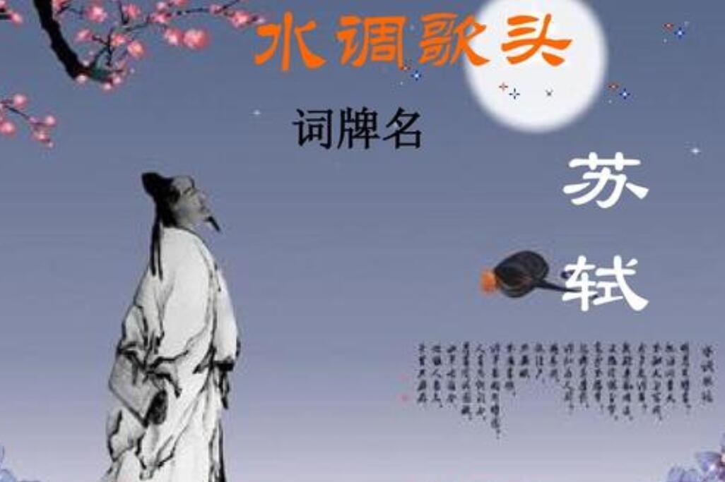 水调歌头读后感500字