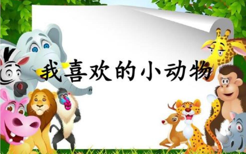 我喜欢的动物作文350字