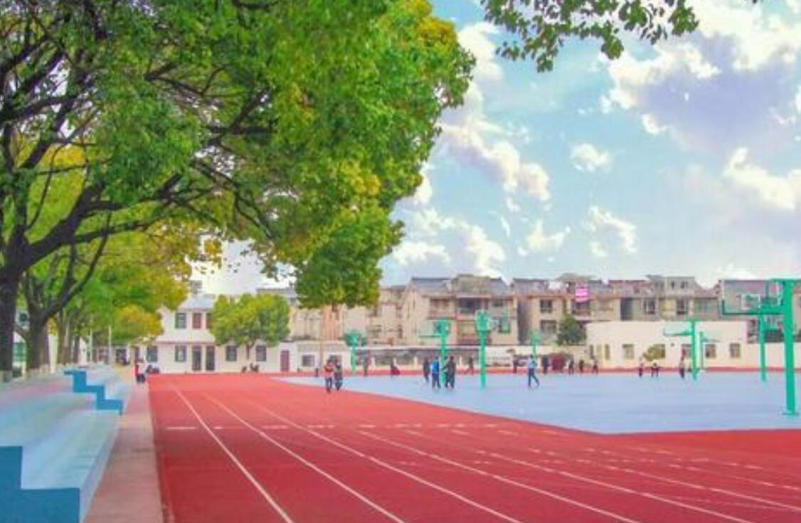 学校里的那些事作文400字