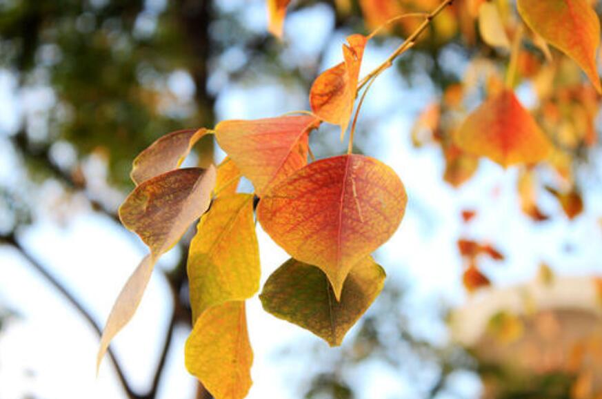 秋天的感动作文400字