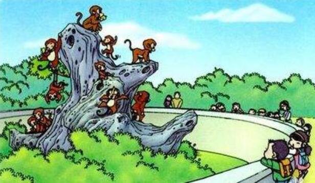 小猴比美看图写话300字