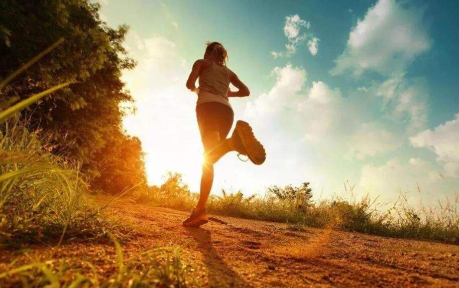 做一个有用的人作文400字