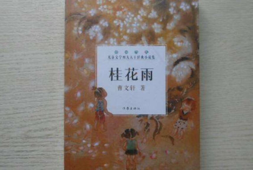 《桂花雨》读后感800字