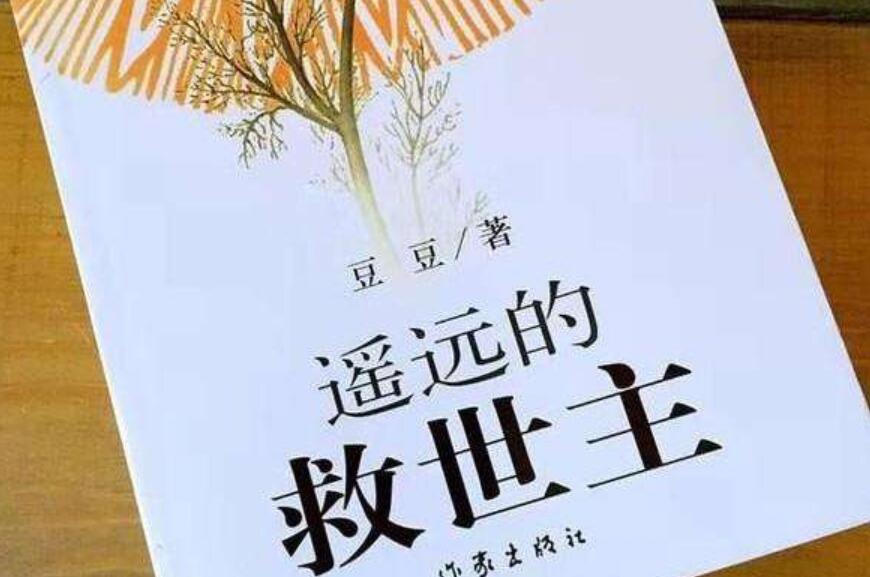 《遥远的救世主》读后感1000字