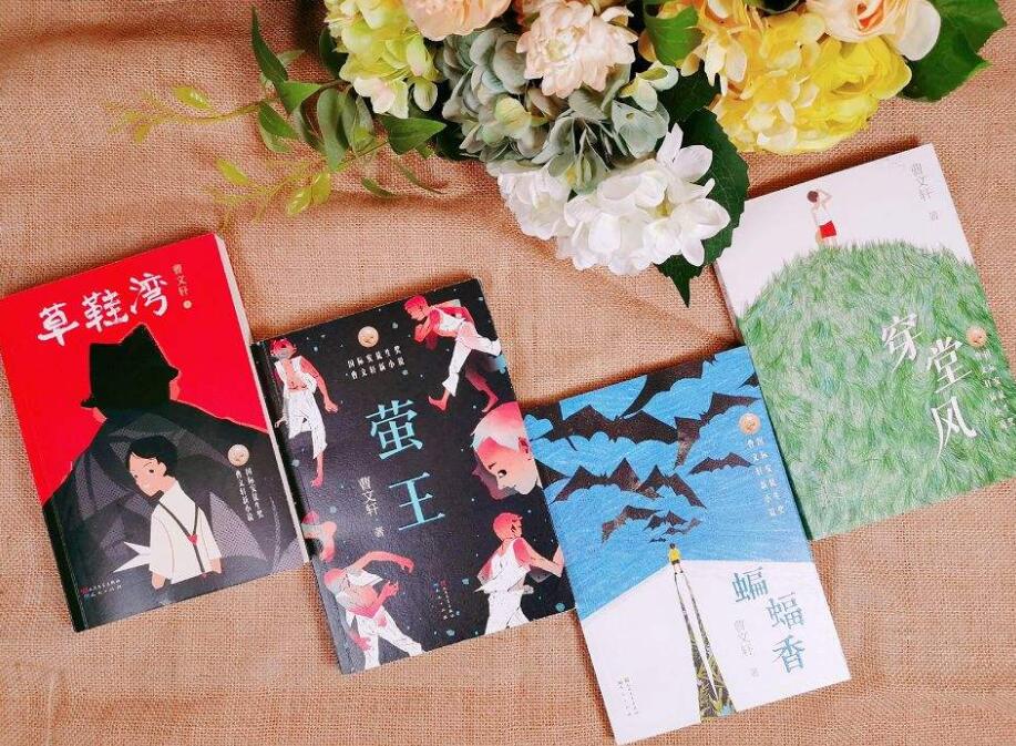 《草鞋湾》读后感1000字