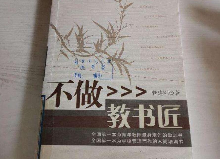 《不做教书匠》读后感1000字