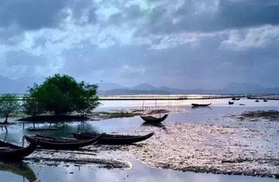 我观察过一个夜晚作文300字