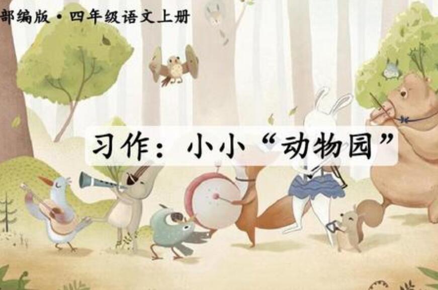 小小动物园四年级作文400字