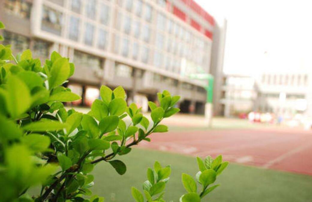 校园的春天作文500字