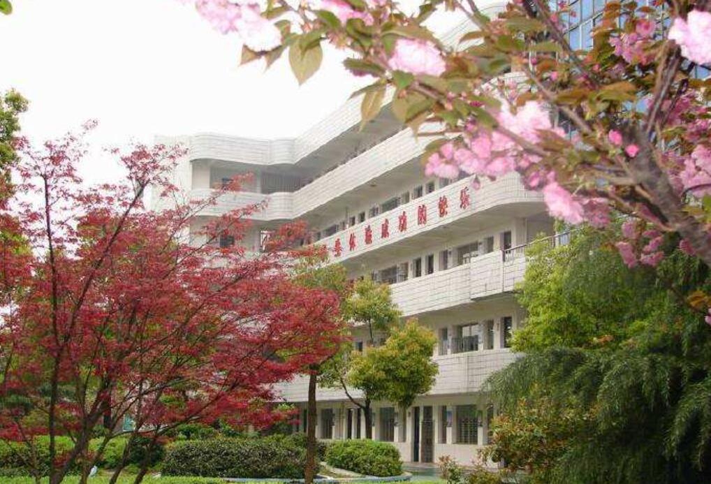 校园的春天500字作文