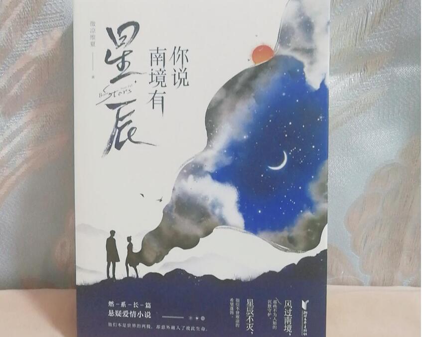 《你说南境有星辰》读后感1000字