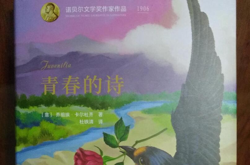 《青春的诗》读后感1000字