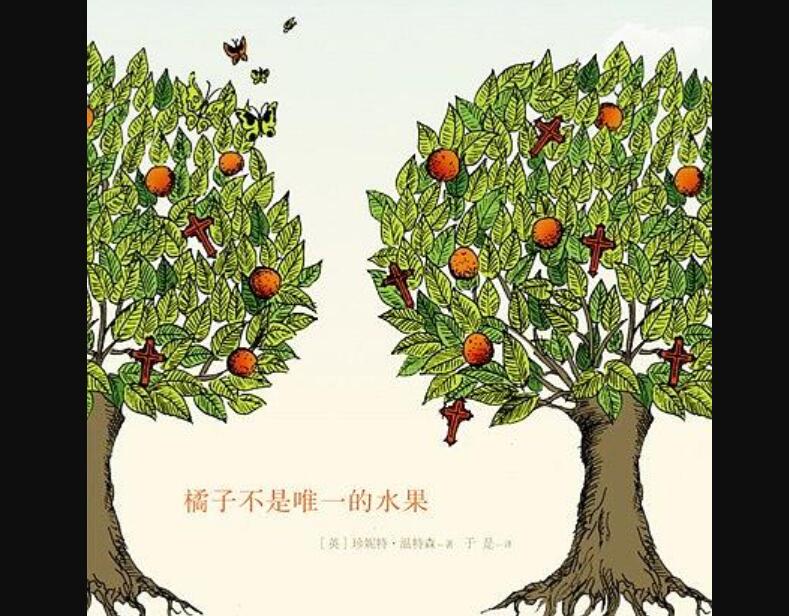 《橘子不是唯一的水果》读后感500字