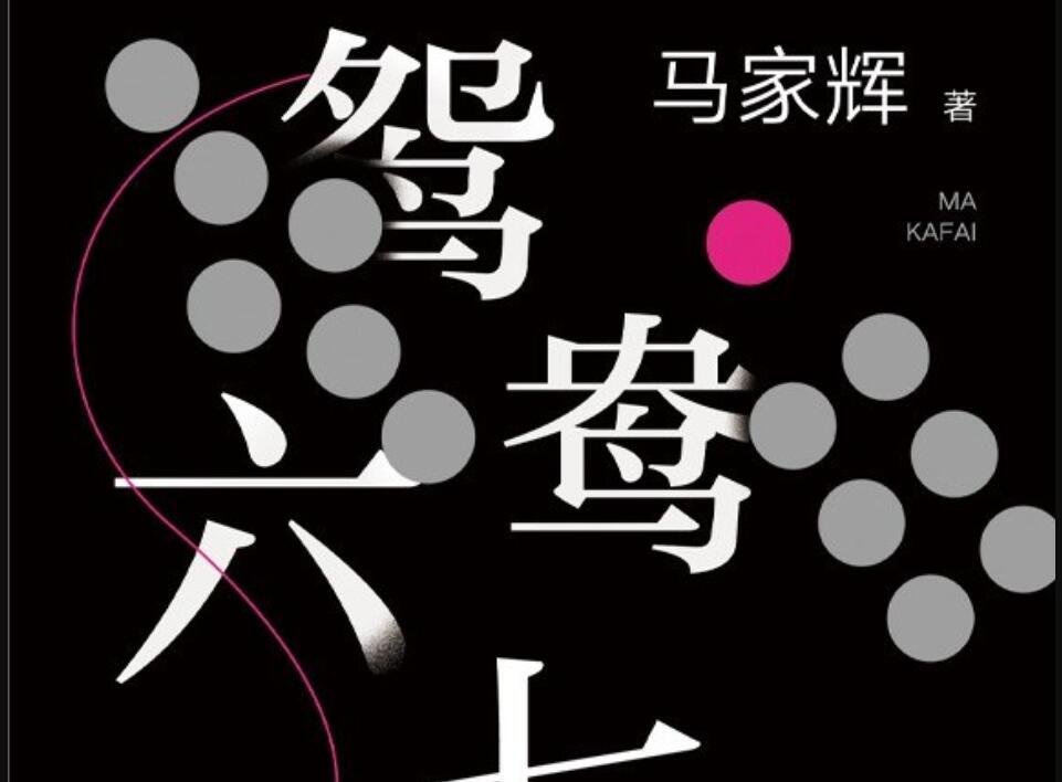《鸳鸯六七四》读后感600字