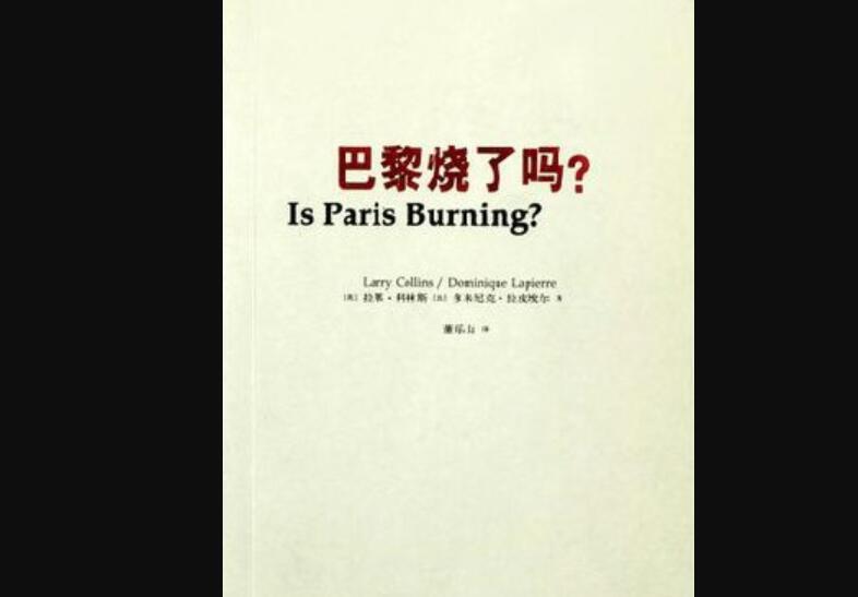 《巴黎烧了吗？》读后感400字