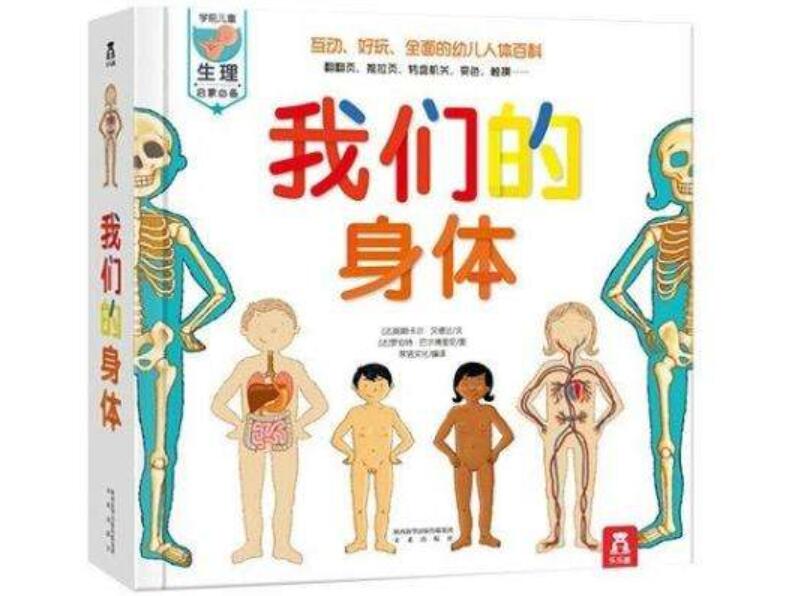 《父与子》读后感500字