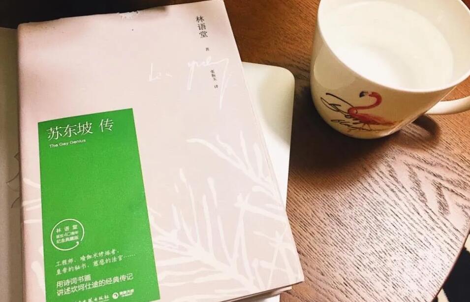 《苏东坡传》读后感1000字