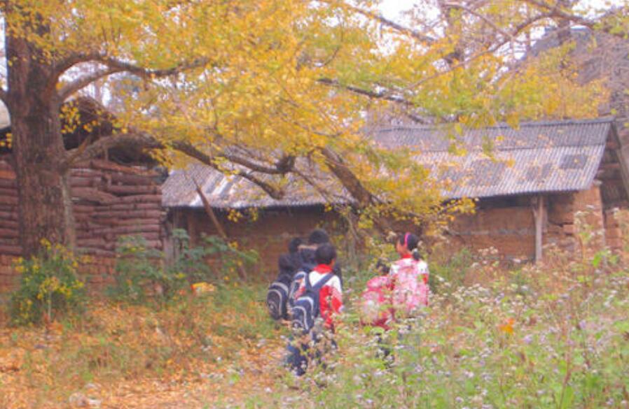 上学路上的景色.jpg 上学路上的景色.jpg