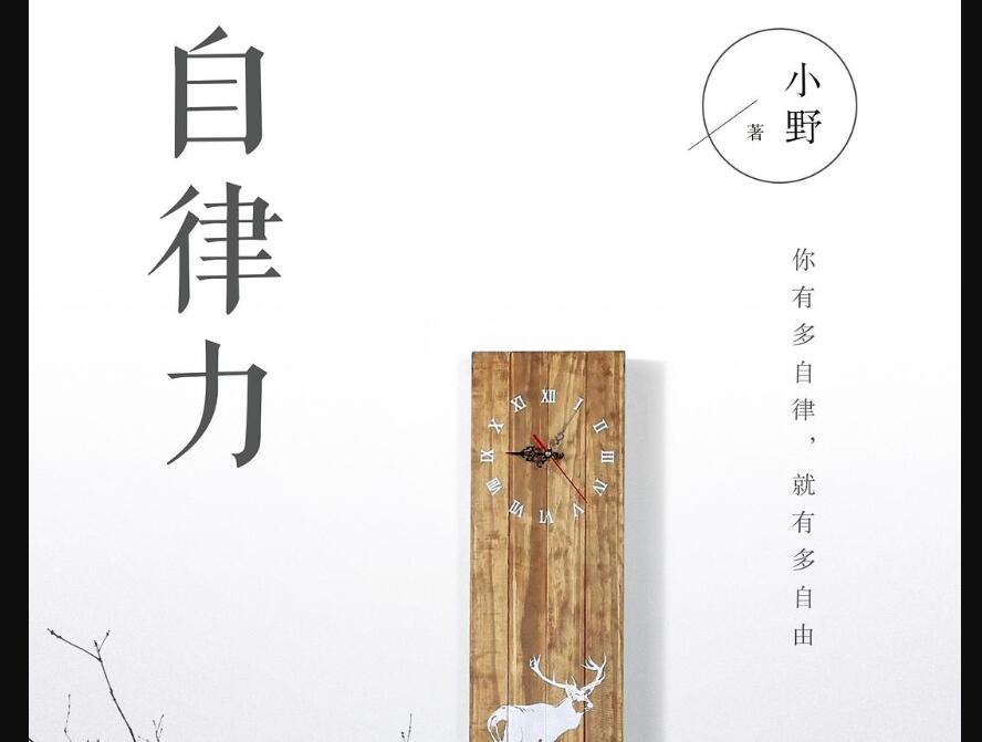 《自律力》读后感400字