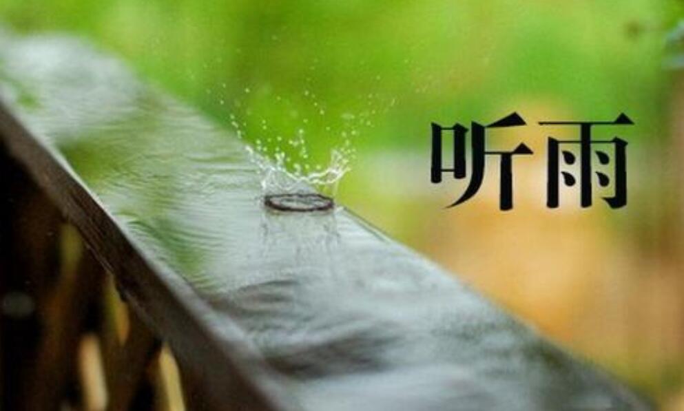 听雨.jpg 听雨.jpg