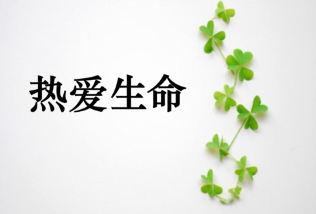 热爱生命的作文500字