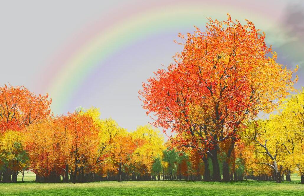 秋天的景色作文400字