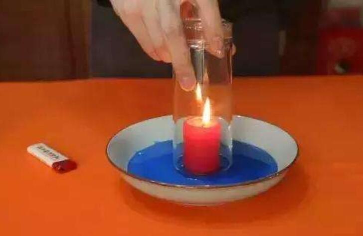 我做了一项小实验作文350字