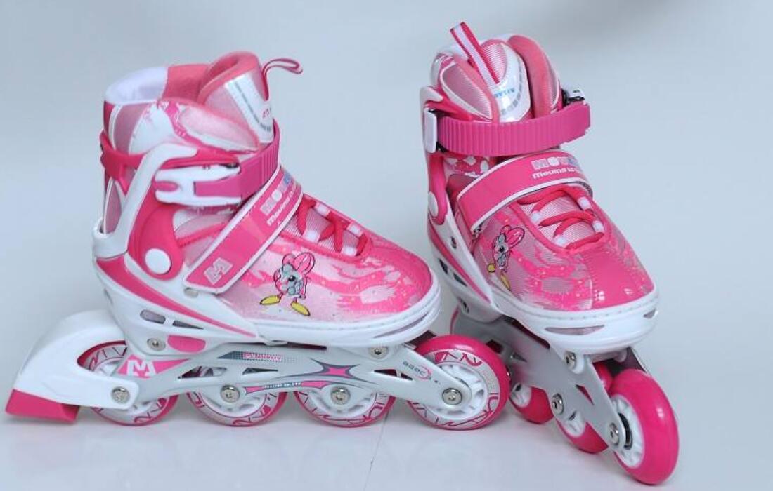 我的心爱之物溜冰鞋作文800字