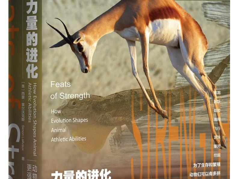 《力量的进化》.jpg 《力量的进化》.jpg