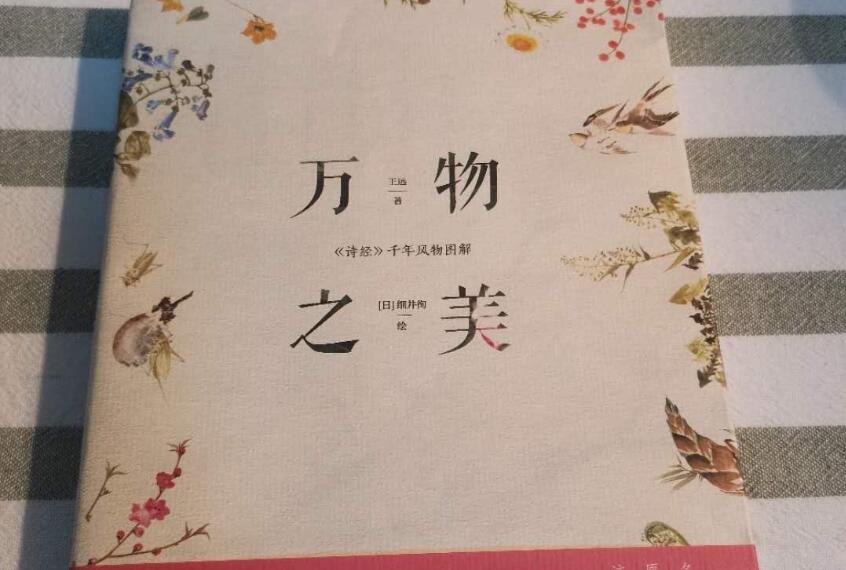 《万物之美》读后感1000字