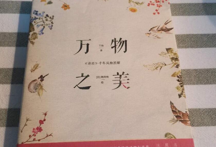 《万物之美》读后感1000字