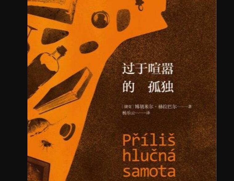 《过于喧嚣的孤独》读后感600字