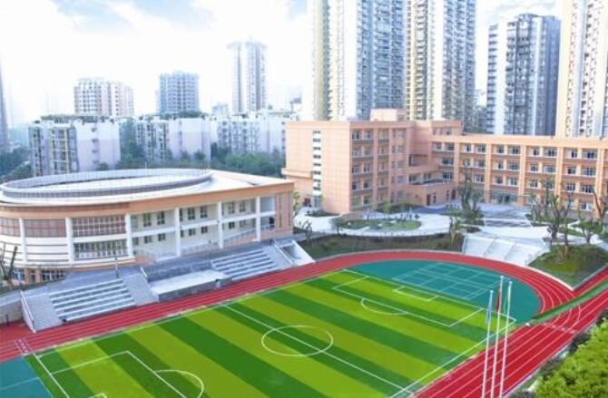 校园一景作文800字初二写景