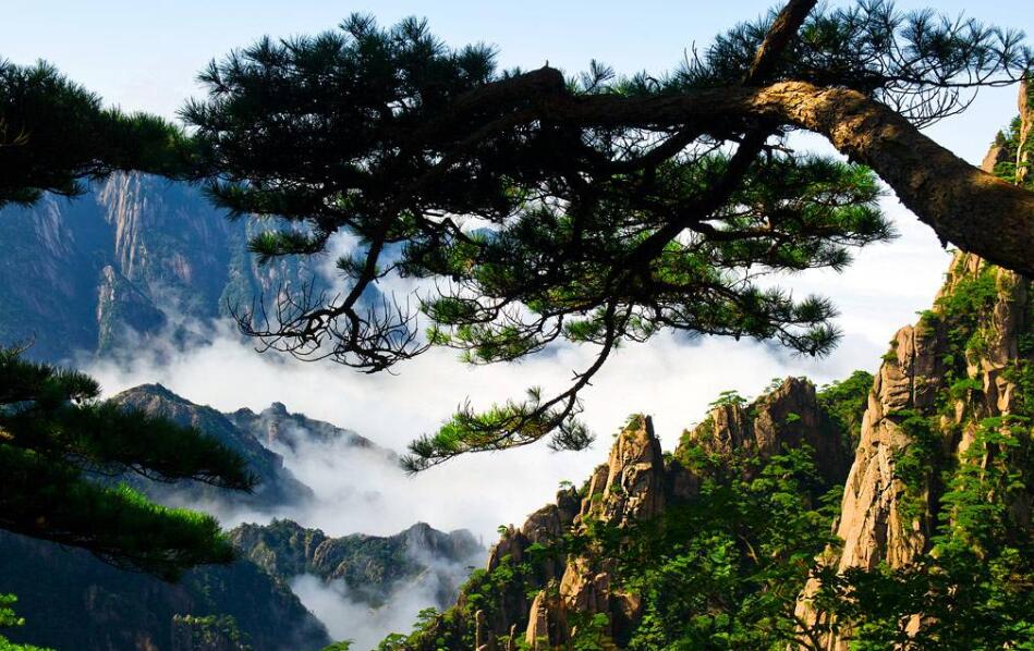 青松作文400字借物喻人