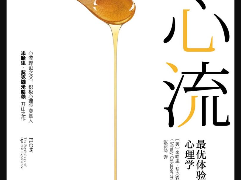 《心流》读后感600字