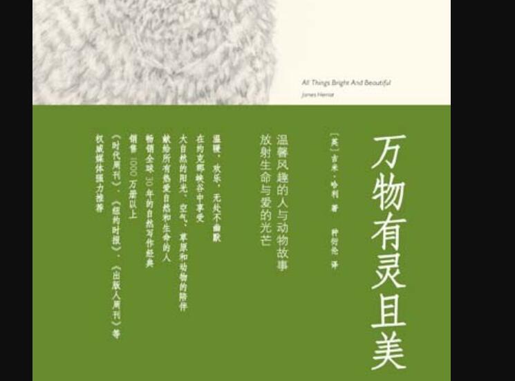 《万物有灵且美》读后感400字