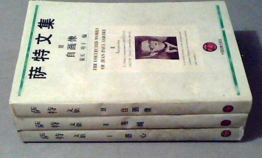 《萨特文集》读后感800字