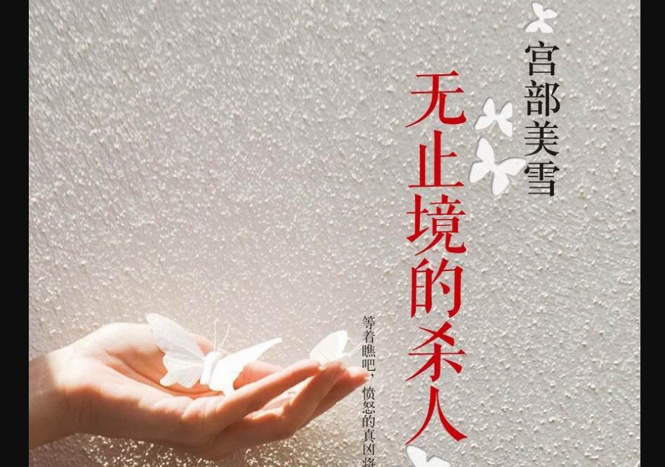 《无止境的杀人》读后感500字