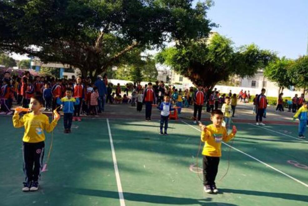 多彩的活动作文600字六年级