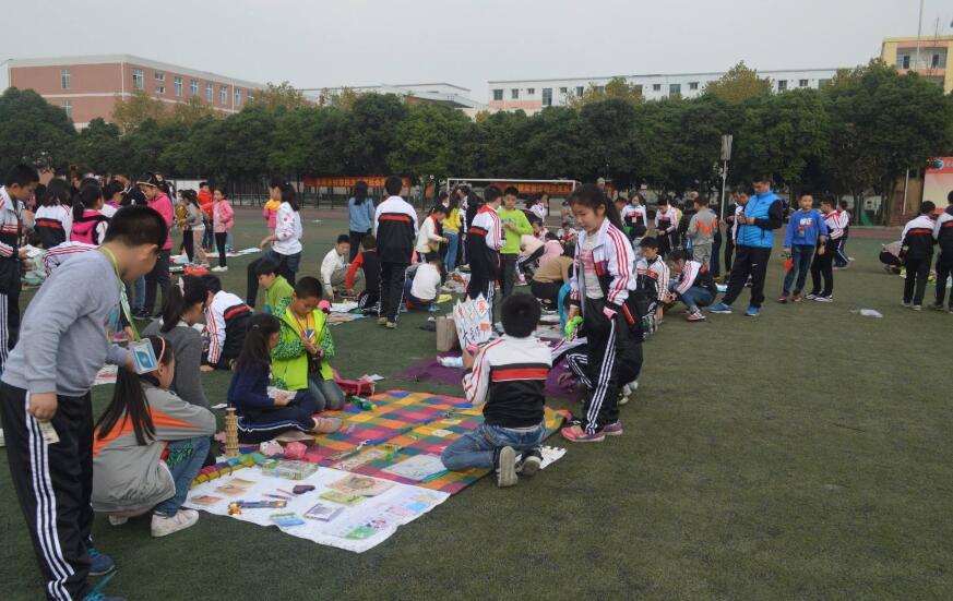 多彩的活动作文500字