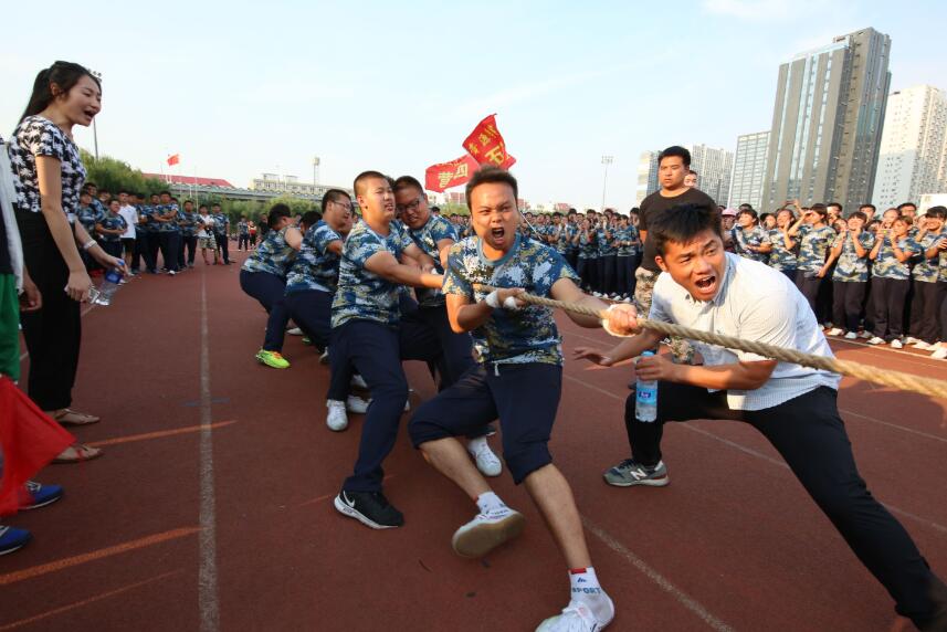 多彩的活动作文500字六年级