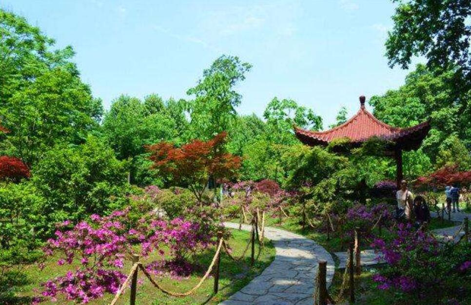 美丽的公园作文600字